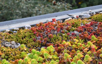 the cost of Brynsiencyn green roof installation