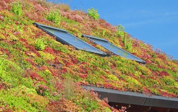 Brynsiencyn living roof systems