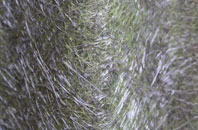 Brynsiencyn fibreglass roof work